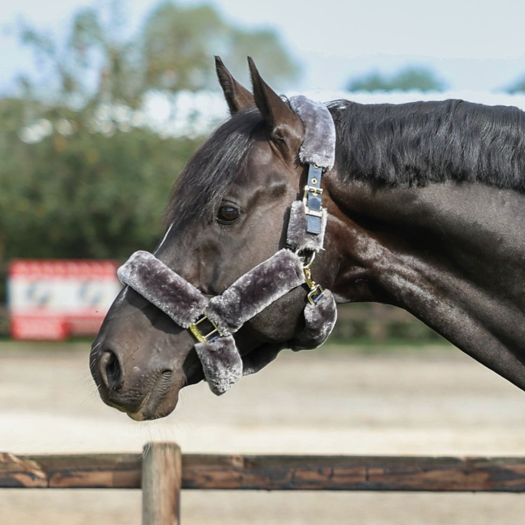 Bucas Show-Line Halter Full Fur - BucasDirect