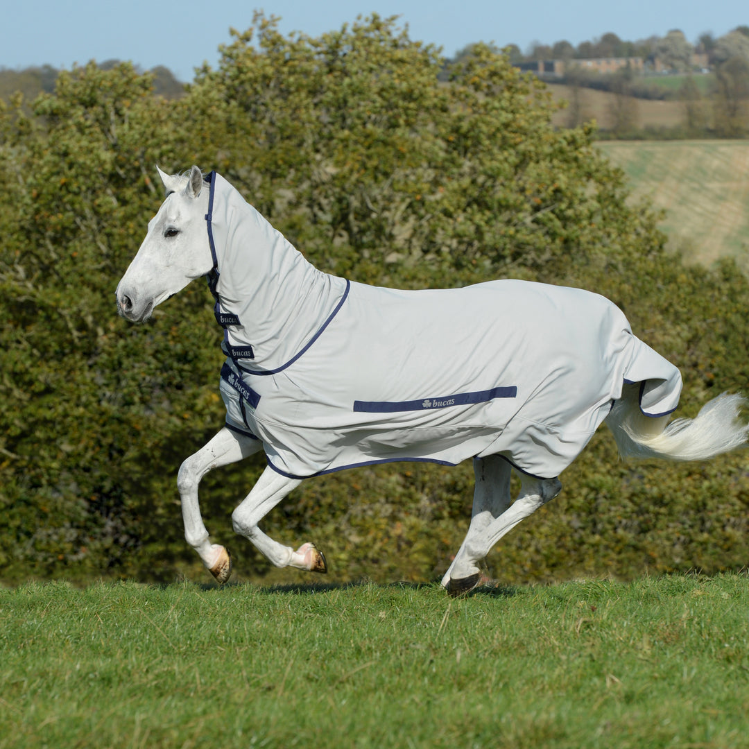 Bucas Sweet-Itch Rug - BucasDirect