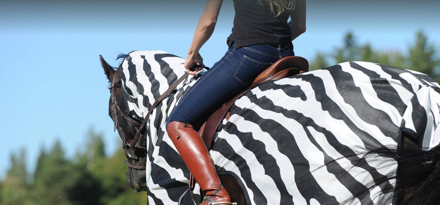 Bucas Buzz-Off Zebra Range