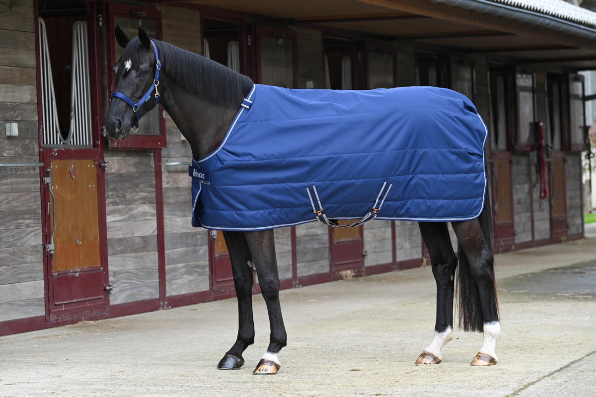 Stable Rug For Cobs Horse Stable Rugs – BucasDirect