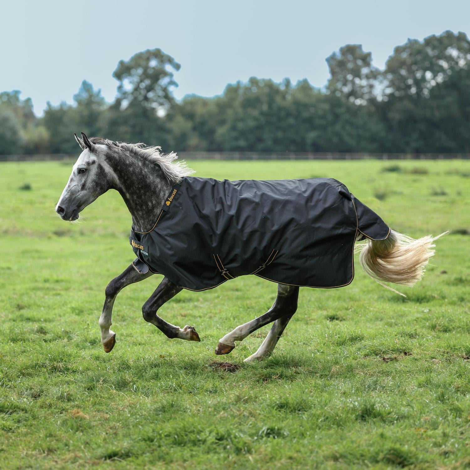 Bucas Irish Turnout Rug Big Neck – BucasDirect